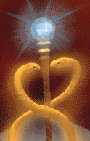 caduceus image